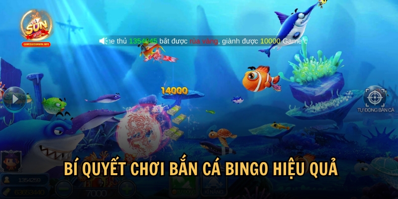 Khám phá bí quyết chơi bắn cá Bingo hiệu quả nhất