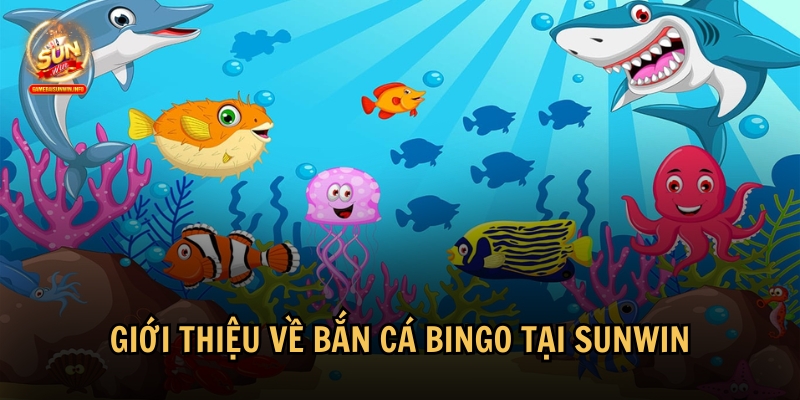 Giới thiệu tổng quan về bắn cá Bingo tại Sunwin