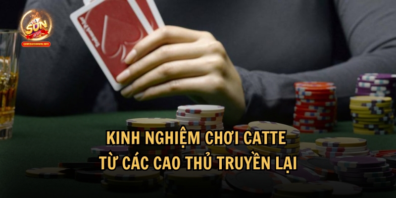 Tổng hợp các kinh nghiệm chơi Catte từ các cao thủ truyền lại