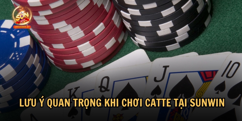 Những lưu ý quan trọng khi chơi Catte tại cổng game Sunwin