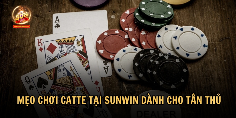 Tổng hợp các mẹo chơi Catte tại Sunwin dành cho người mới