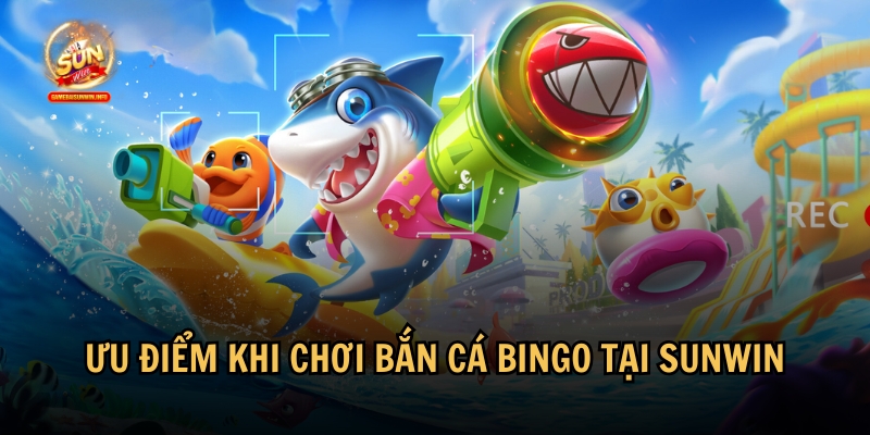 Lợi ích khi chơi bắn cá Bingo tại Sunwin